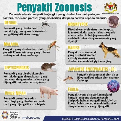 penyakit zoonosis